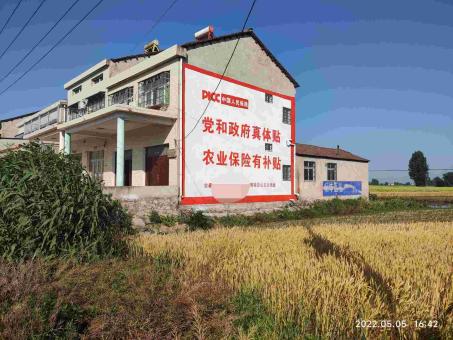 大方墙体广告多少钱一平