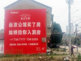 大方墙体广告在乡镇、农村市场的媒体优势
